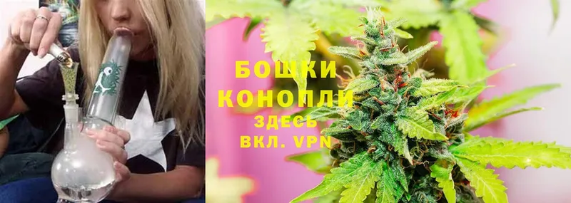 Шишки марихуана THC 21%  Вологда 